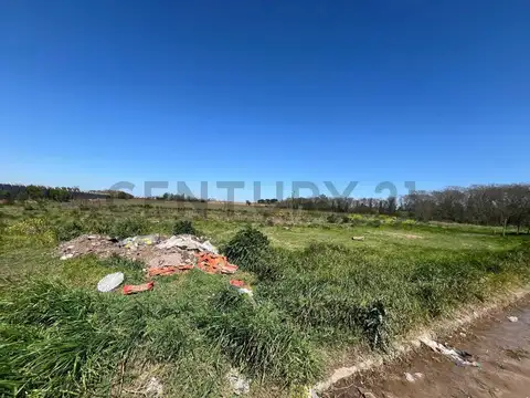 VENTA - PEREZ - 3 HECTAREAS - Ubicación Estratégica y Gran Potencial