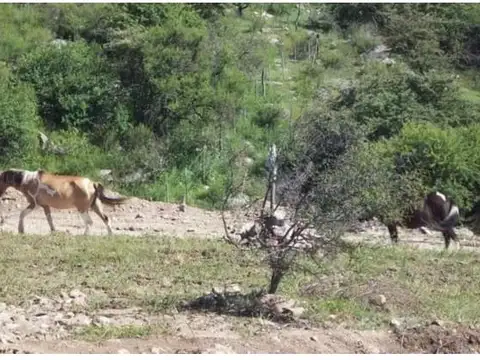 Terreno en Venta de 840,0 m2