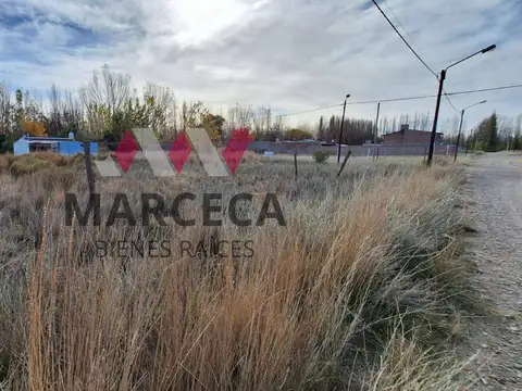 Terreno en Venta en Plottier, USD 14.000