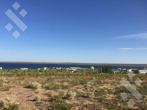 D4 - LA PENÍNSULA - LAGO MARI MENUCO, NEUQUÉN