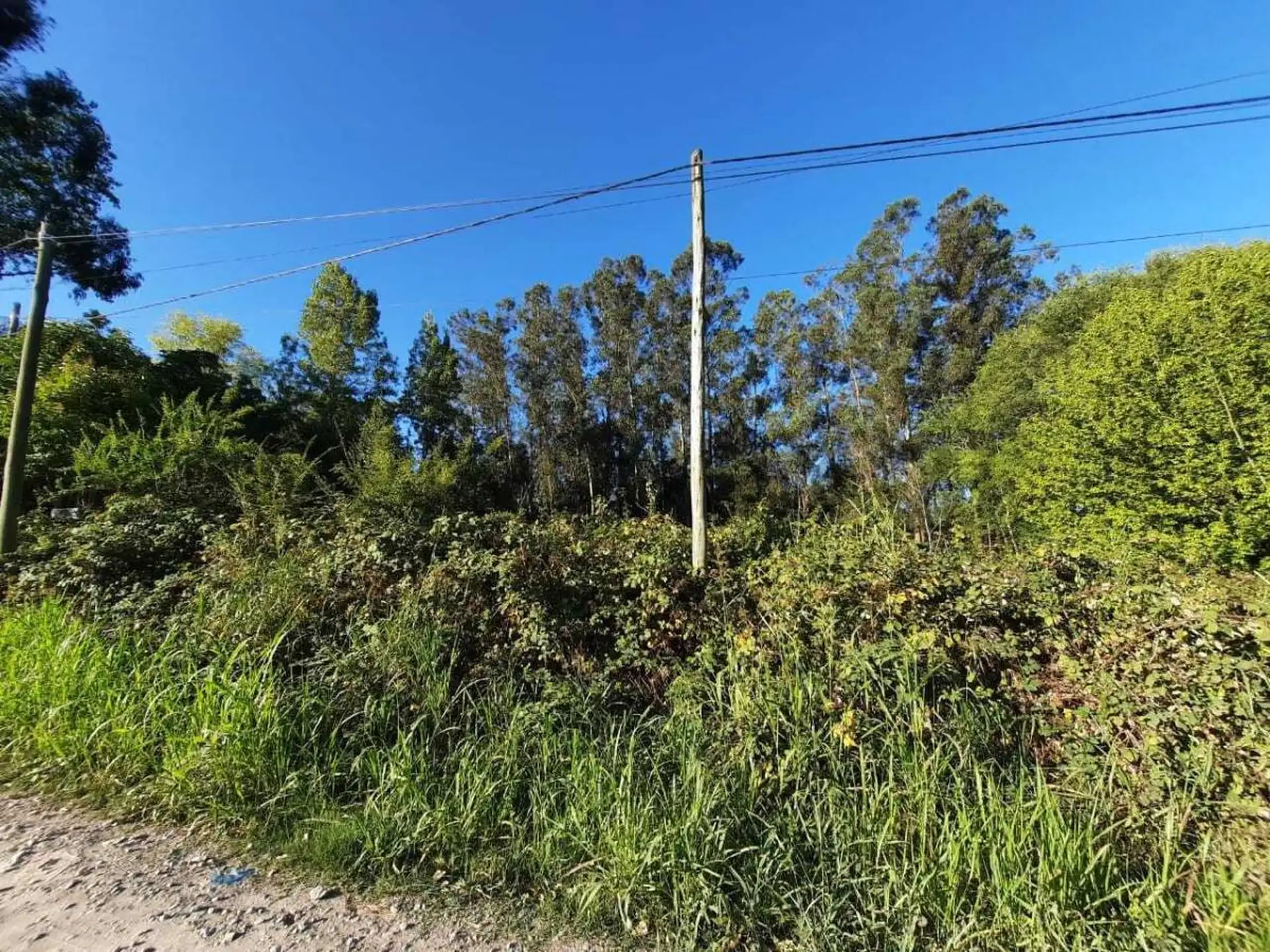 Vendo lote en Sierra de los Padres