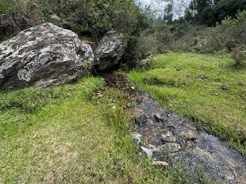 Campo - Venta - Uruguay, Maldonado