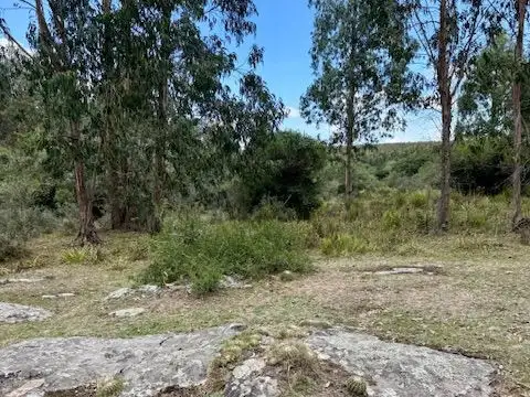 Campo - Venta - Uruguay, Maldonado