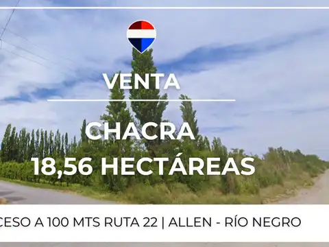 VENTA CHACRA 18,56 HAS. - ALLEN, RIO NEGRO