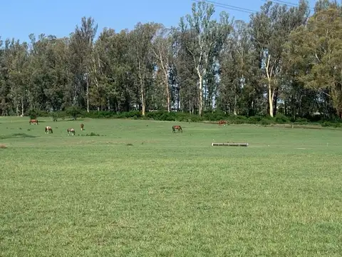 GLM. Oportunidad! Lote Interno en Chacras de La Cruz