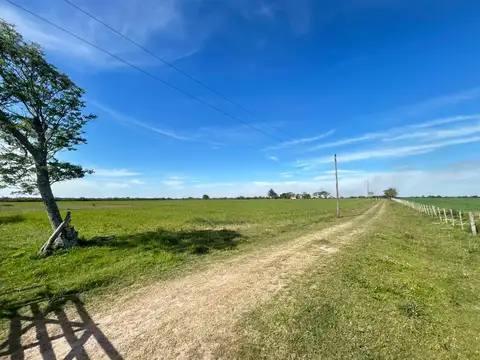 Campo en venta Partido San justo