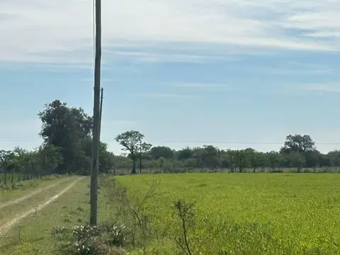 CAMPO UBICADO EN ruta provincial  55