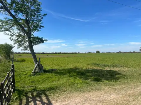 Campo en venta Partido San justo