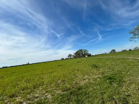 CAMPO UBICADO EN ruta provincial  55