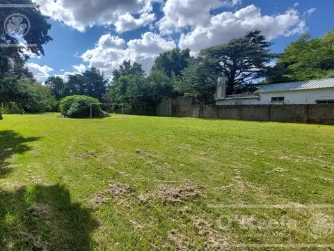 Calle 39 entre 153 y 154-  PLATANOS