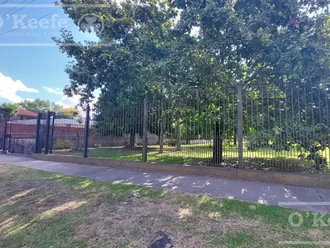 Calle 39 entre 153 y 154-  PLATANOS