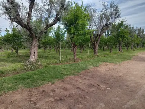 Quinta en venta en San Roque