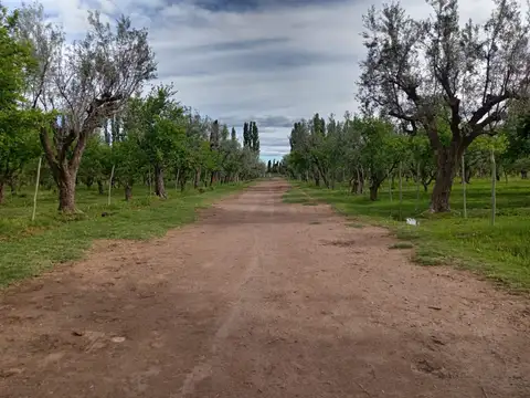 Quinta en venta en San Roque
