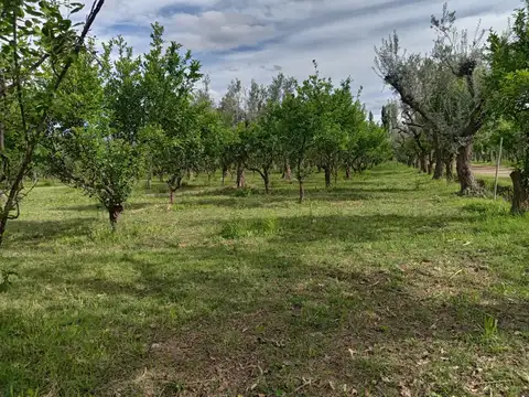Quinta en Venta en San Roque, USD 300.000