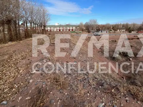 Ruta 7