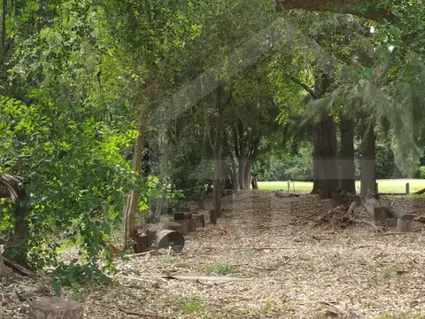 Aristóbulo Del Valle 1300