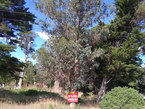 Terreno en Venta de 480,0 m2