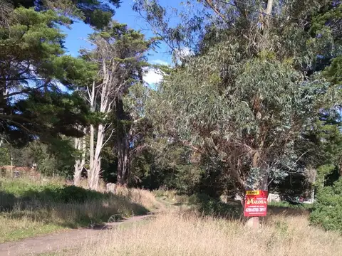 VENTA LOTE MAR DEL PLATA SOBRE RUTA 2  KM 391 1/2  BARRIO EL SOSIEGO
