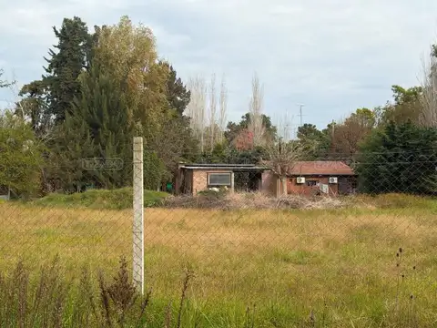 Almafuerte 4100