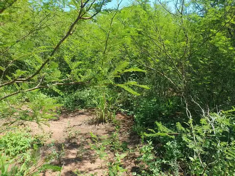 Coronel Moldes. Camino Rural S/N