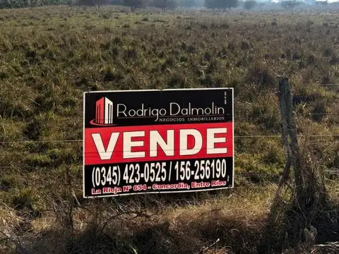 Campo en venta ruta 14, concordia (entre ríos)