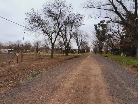 Calle Los Nogales entre Los Ceibos y Los Aromos