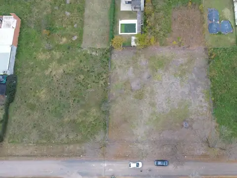 Calle Los Nogales entre Los Ceibos y Los Aromos