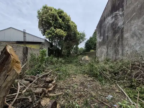 Lote en venta en San Andrés - zonificación apta industrial