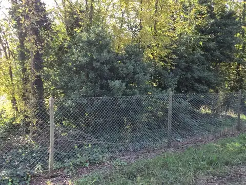 Terreno en Venta de 981,0 m2