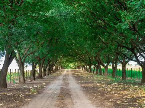 Chicoana. Ruta Provincial N° 100
