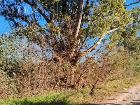 Terreno en Alquiler en Pilar Del Este, USD 4.500