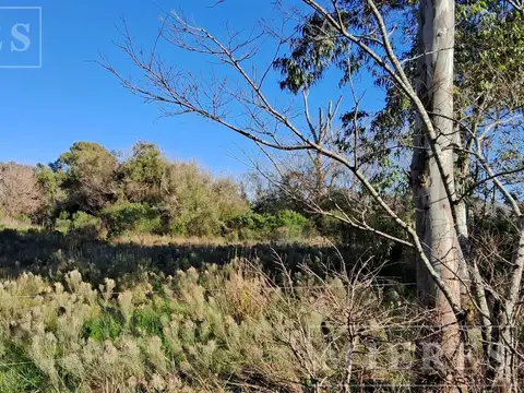 Terreno en Alquiler de 22000,0 m2