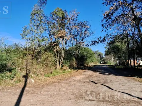 Terreno en Alquiler de 22000,0 m2
