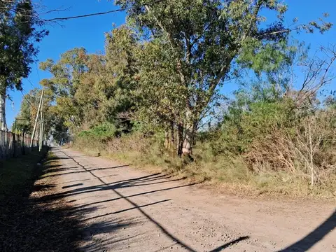 Terreno en Alquiler en Pilar Del Este, USD 4.500