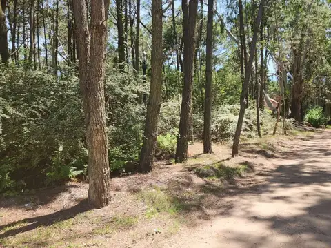 Terreno en Venta, FOT 0,5