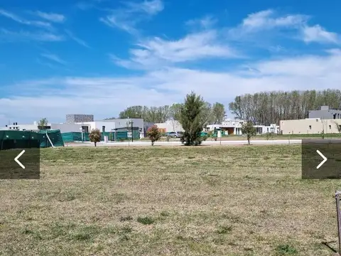 barrio la alameda al 200