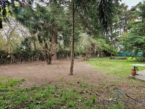 Terreno en maquinista savio