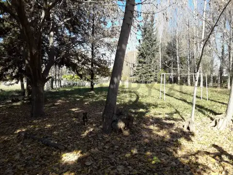 FINCA CON NOGALES – PERDRIEL – LUJÁN DE CUYO