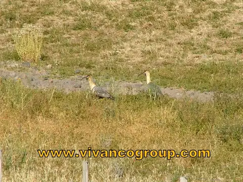 PROPIEDADES RURALES - MIXTO - EL HUECÚ