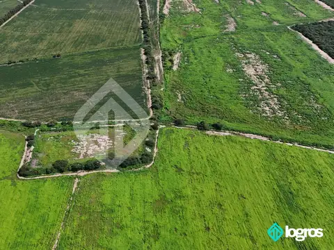Campo Agricola en Venta de 196 has ubicado en Pampa Blanca - Provincia de Jujuy