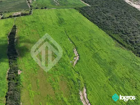 Campo Agricola en Venta de 196 has ubicado en Pampa Blanca - Provincia de Jujuy