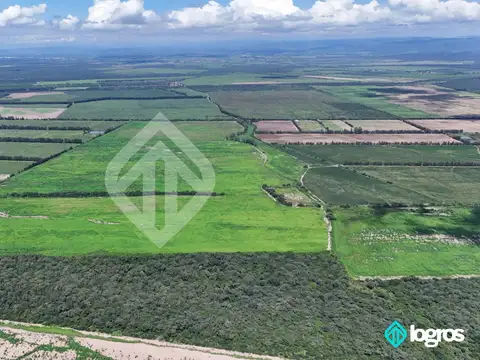 Campo Agricola en Venta de 196 has ubicado en Pampa Blanca - Provincia de Jujuy
