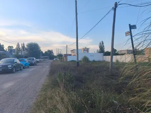 Terreno en Venta en Arturo Segui, USD 28.000
