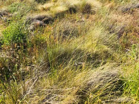 Lote en venta en Las Marias del Valle