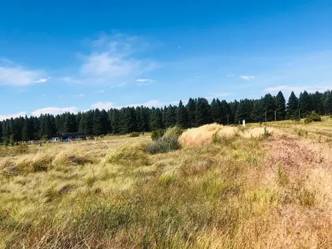 Terreno en Venta de 1852,0 m2