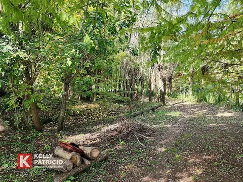 Terreno en Venta de 116286,0 m2