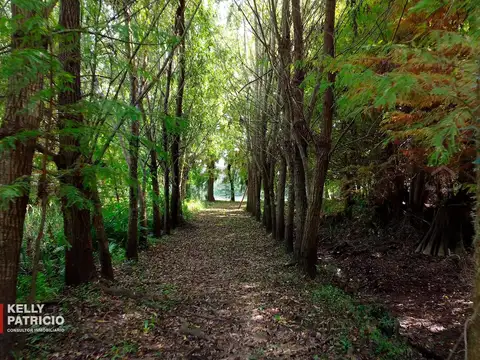 Venta de Quinta con 90 mts de costa sobre Rio Paranacito - Isla 9