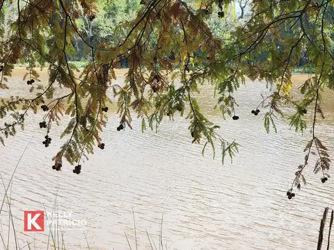 Villa Paranacito - Isla 9