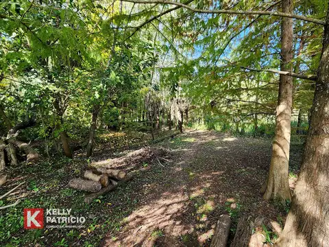 Venta de Quinta con 90 mts de costa sobre Rio Paranacito - Isla 9