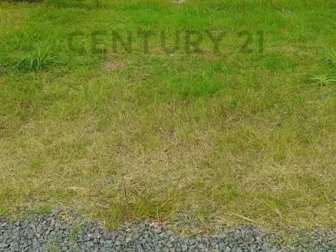 Terreno en Venta 31  mts Fondo